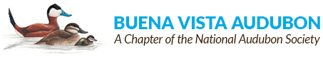 Buena Vista Audubon Society logo