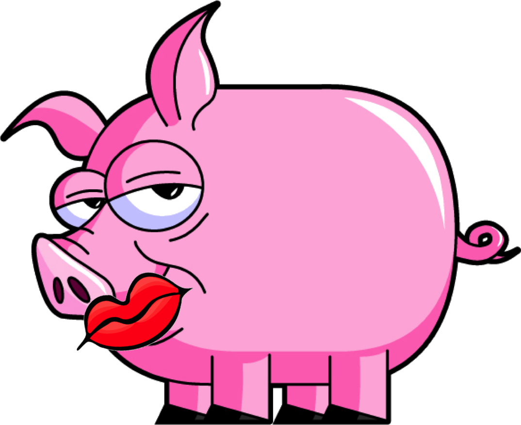 pig